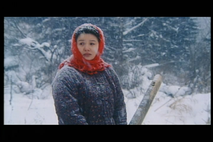  p>《两个裹红头巾的女人》是韩志君执导的电影,2007年3月8日上映.