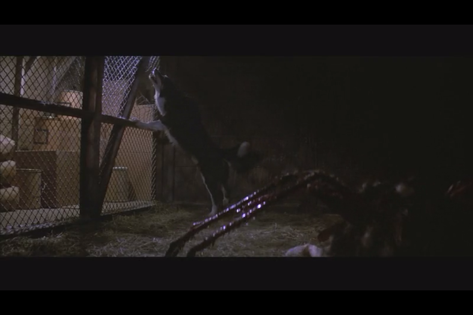  p>《怪形》 i>(the thing) /i>是 a href="#" data-lemmaid="1379061