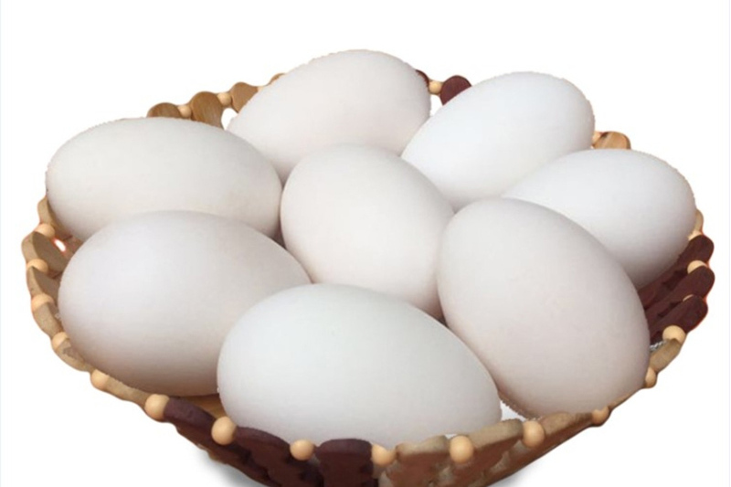 鹅蛋成椭圆形,个体很大,味道有些油,新鲜的鹅蛋必须烹饪后食用.