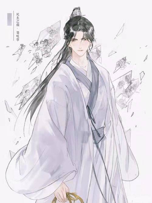 楚晚宁（小说《二哈和他的白猫师尊》及其衍生作品中的男主角之一）_百度百科