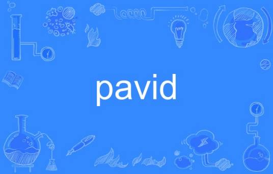 pavid_百度百科