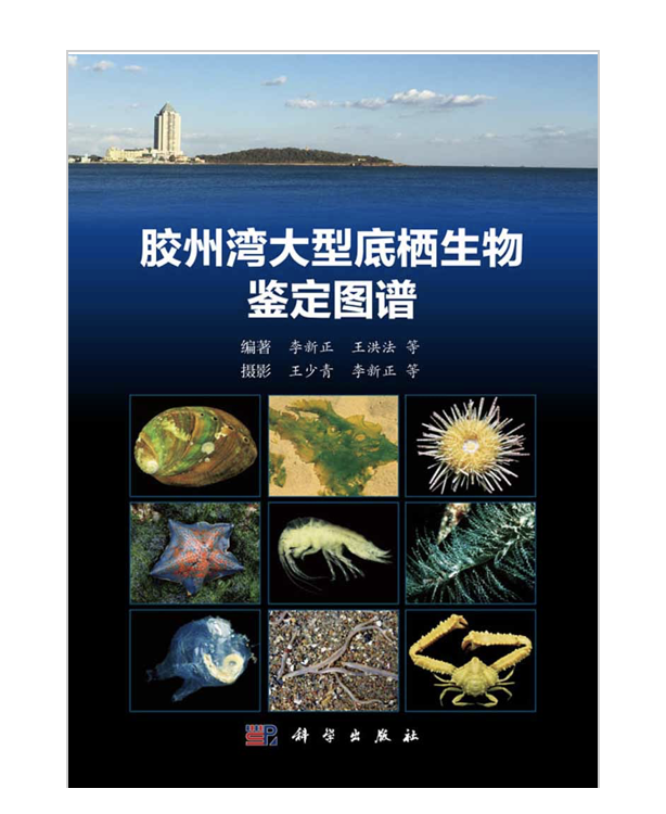胶州湾大型底栖生物鉴定图谱