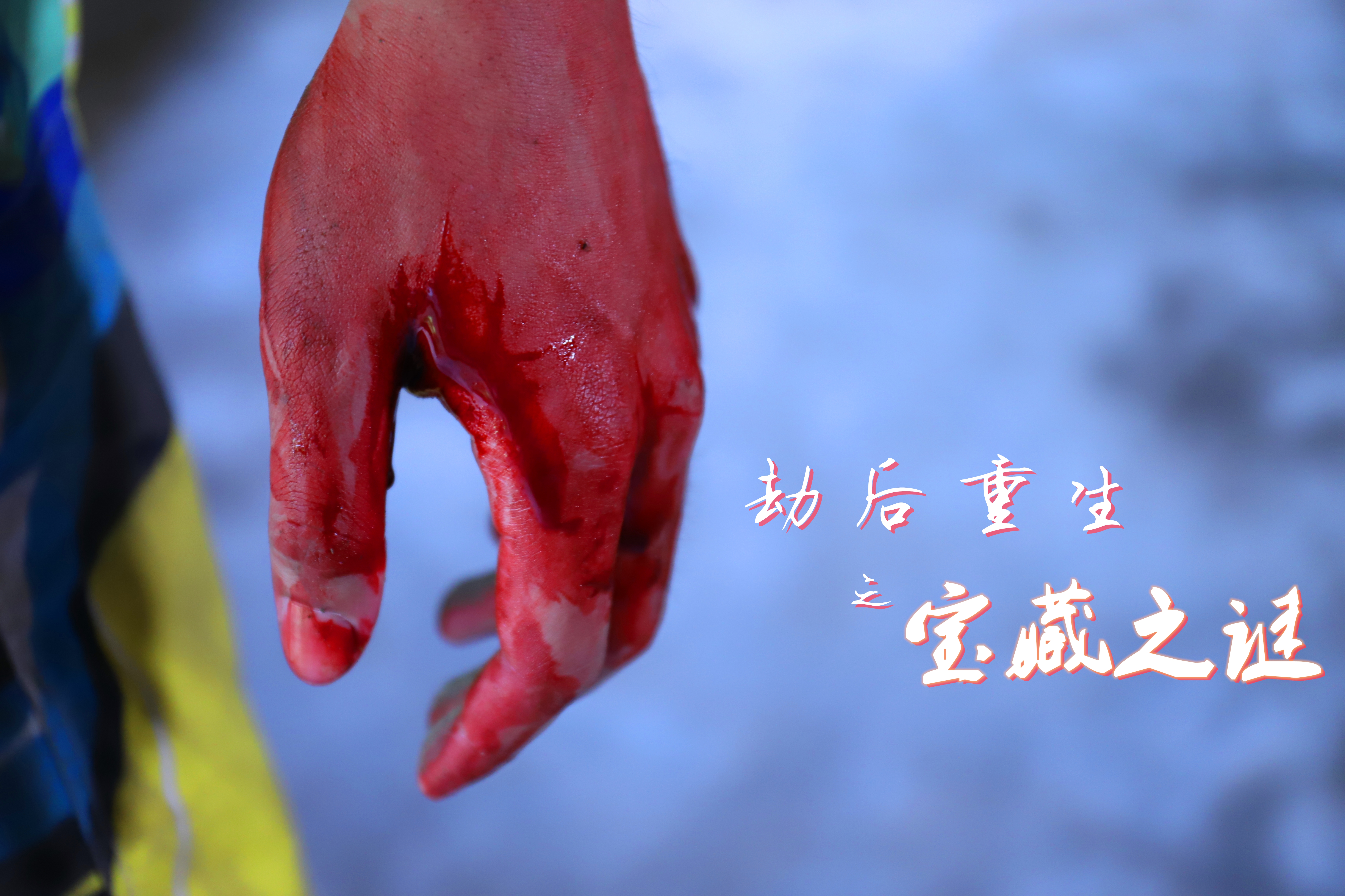 劫后重生之宝藏之谜