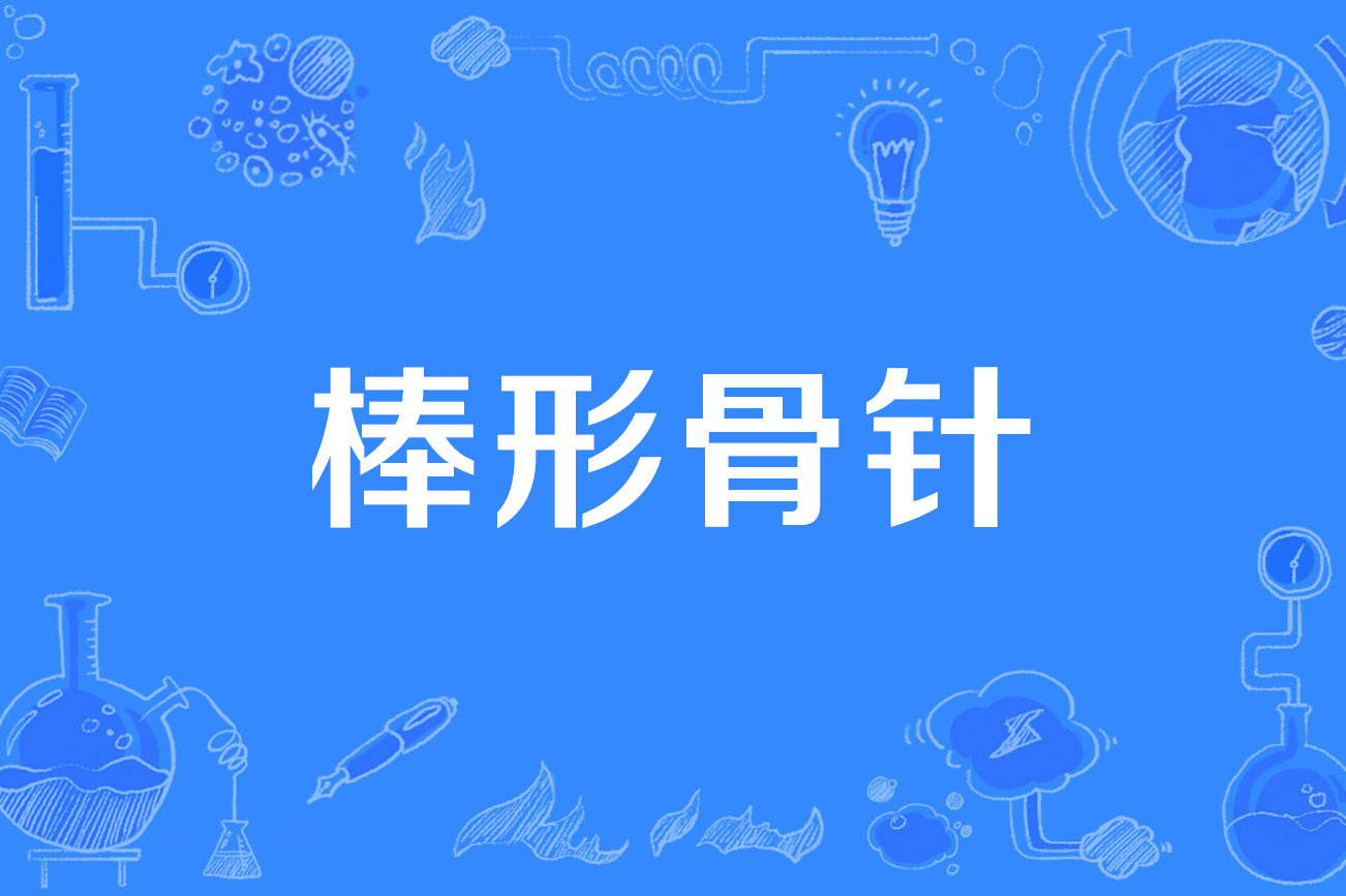 棒形骨针