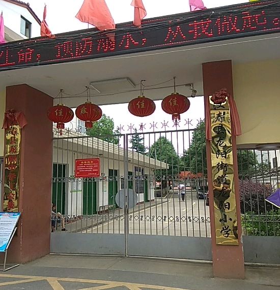  p data-id="gnytc8vo29">龙阳街道,湖南省常德市 a target="_blank"