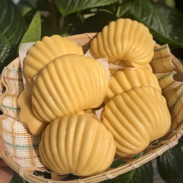 贝壳馒头