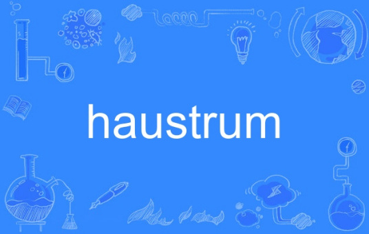haustrum_百度百科
