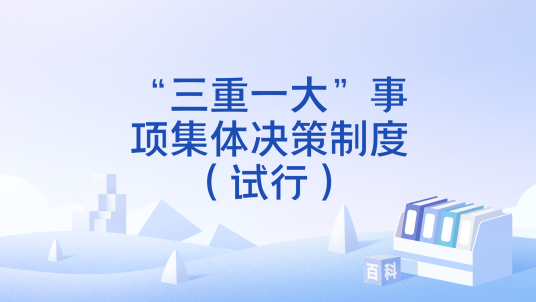 “三重一大”事项集体决策制度（试行）_百度百科