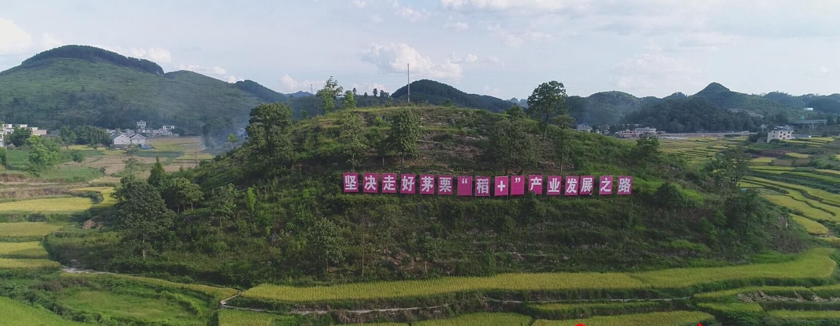 茅栗镇_百度百科