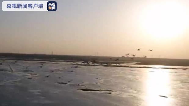 国家一级保护动物东方白鹳等候鸟飞抵洪泽湖湿地保护区_百科TA说