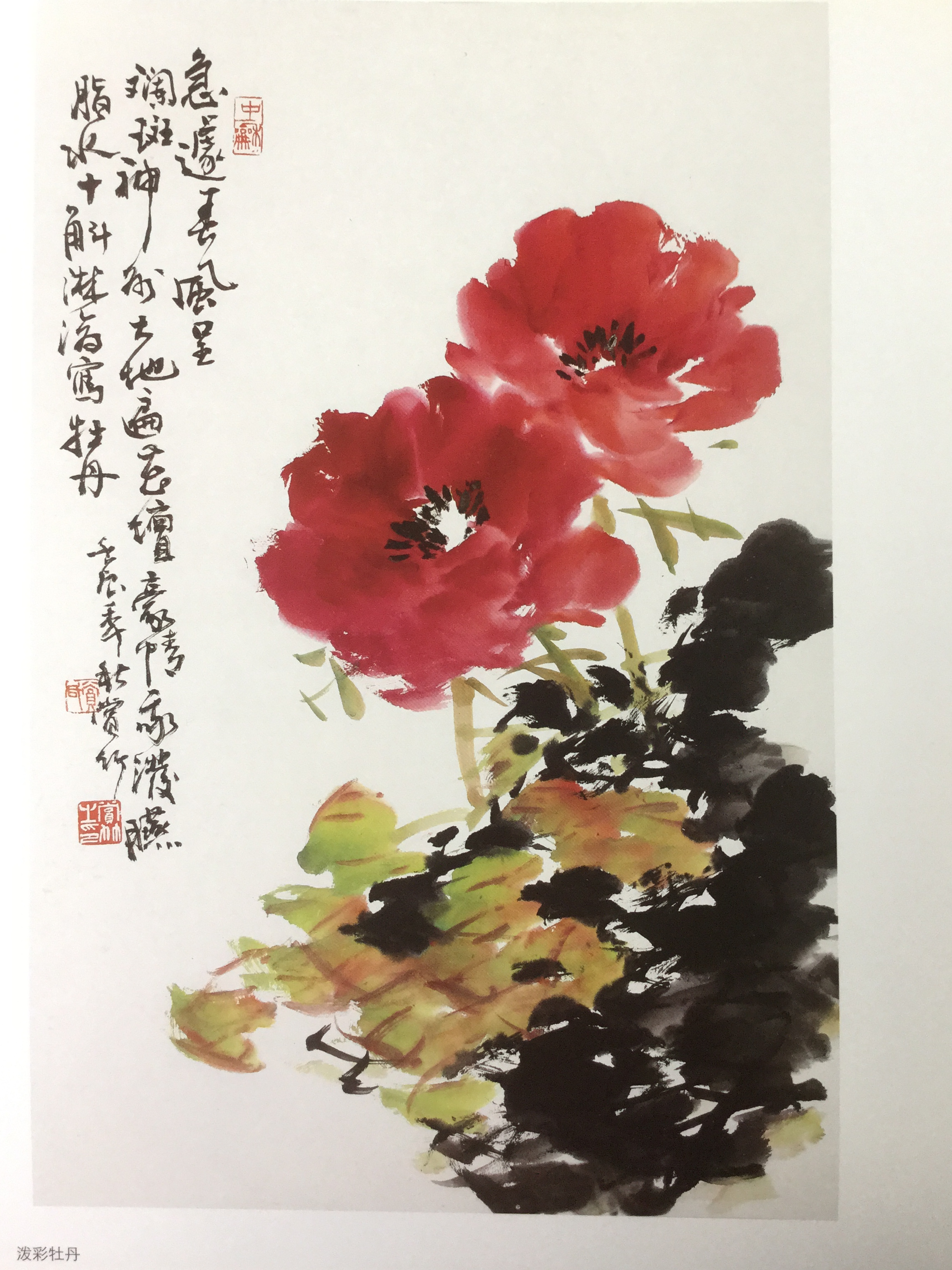  p>赏竹,著名花鸟画家,1948年生,20岁时拜花鸟画大师,中国美术学院