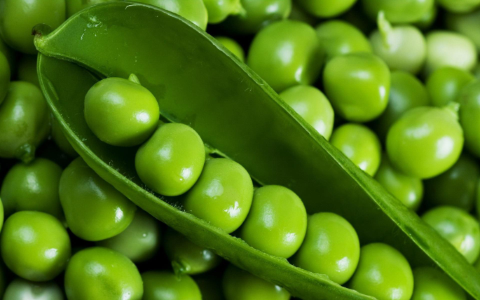 豌豆有何营养价值 应该怎么吃 百科ta说