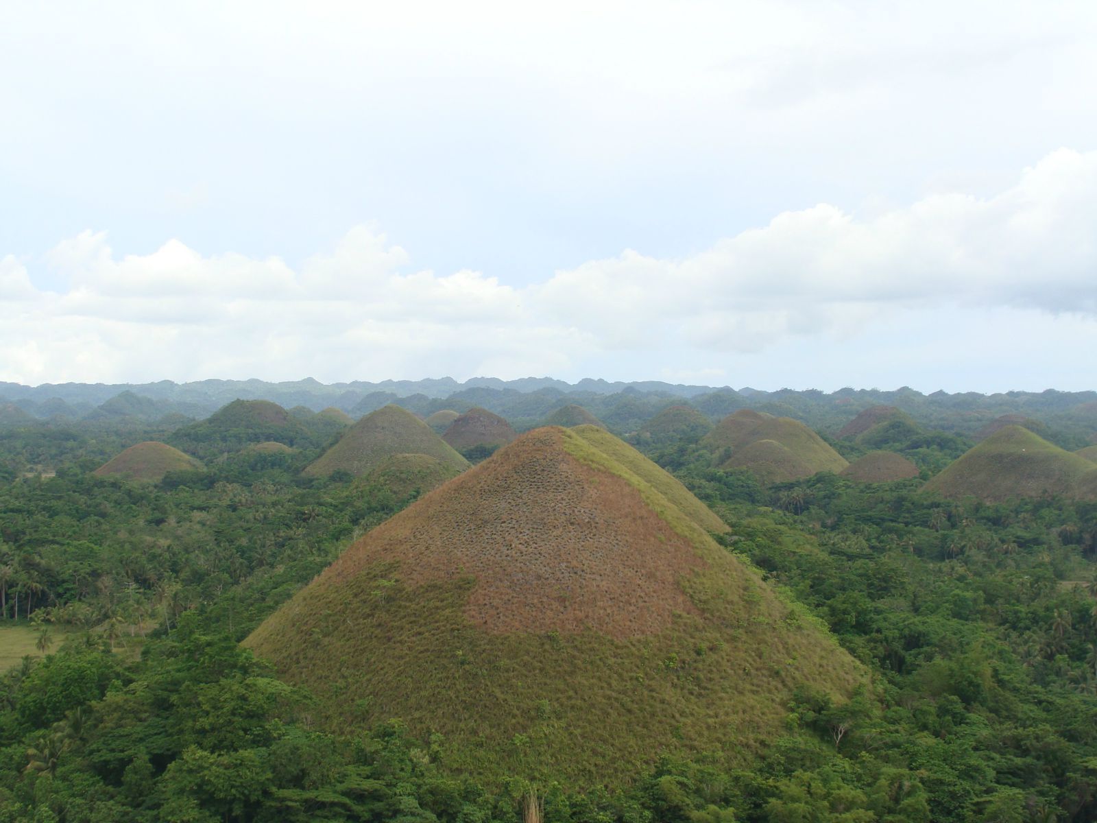 chocolate hills