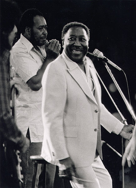 muddy waters