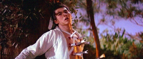 one-armed swordsman returns