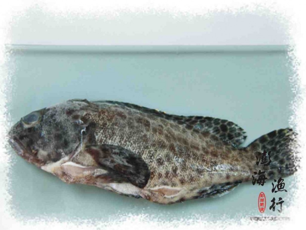  p>石斑鱼是石斑鱼亚科(epinephelinae)鱼类的总称,隶属于 a target="