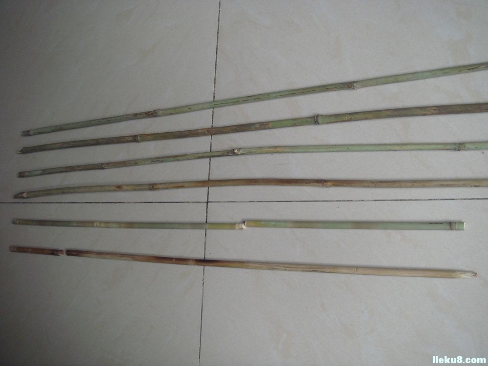  p>箭竹(fargesia spathacea franch)是禾本科,箭竹属竹类植物.