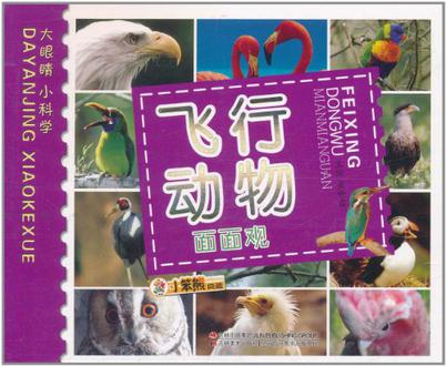 p>飞行动物面面观是崔钟雷 编2011-7出版的书籍 /p>