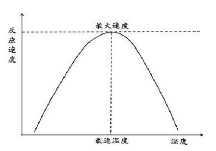 圖4
