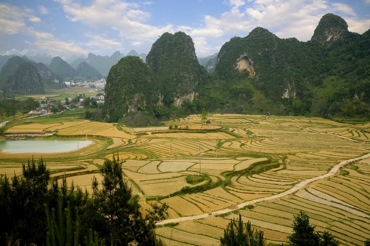  p>龙光乡,广西壮族自治区百色市德保县下辖乡,位于 a target="_blank