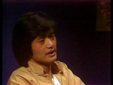 《青春热潮》,共8集,甘国亮监制