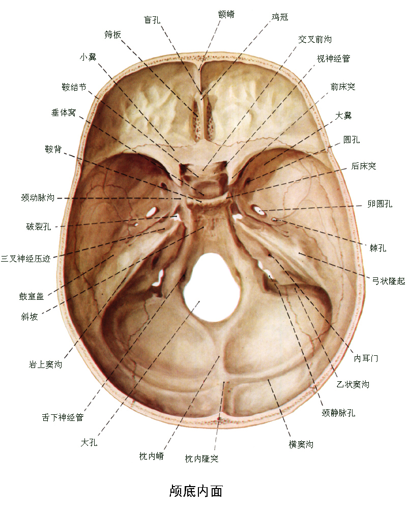 脑梗后遗症