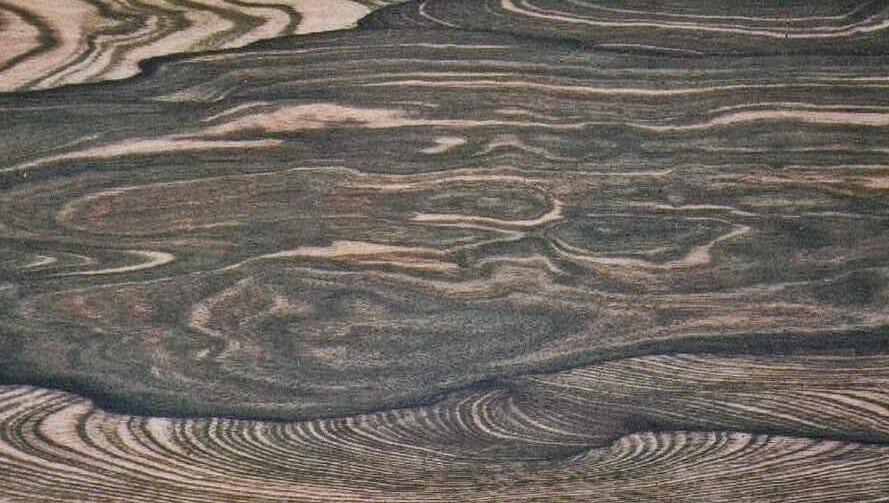  p>菲律宾乌木, a href="#" data-lemmaid="3083214">小乔木 /a>;主要