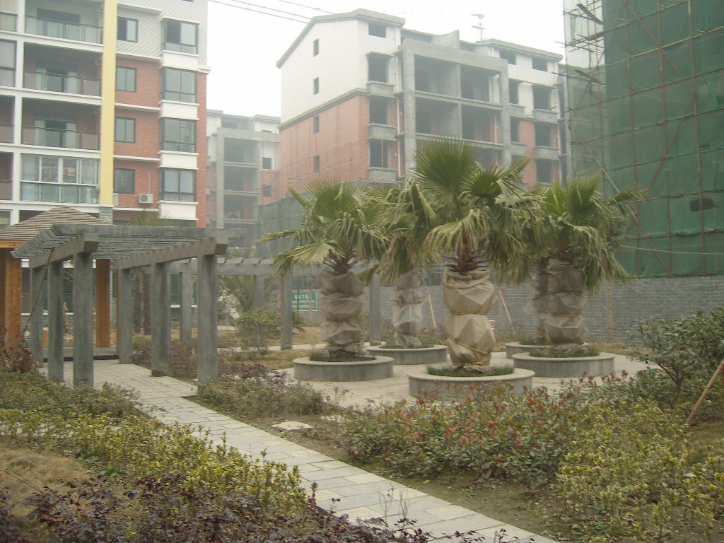 荆州金港花园二期