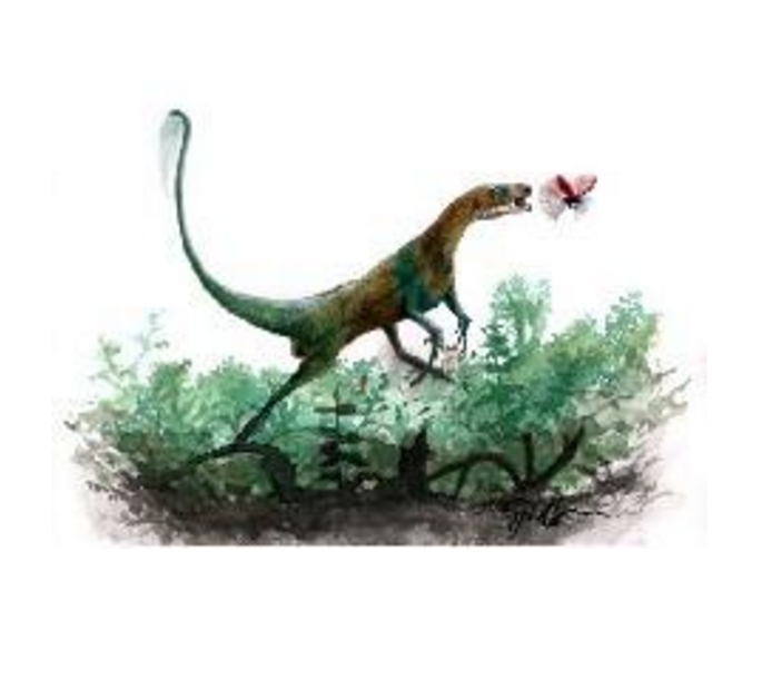 工部龙(gongbusaurus)