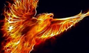 是一种阿拉伯传说中的生物,在传说中是一种不死的神鸟