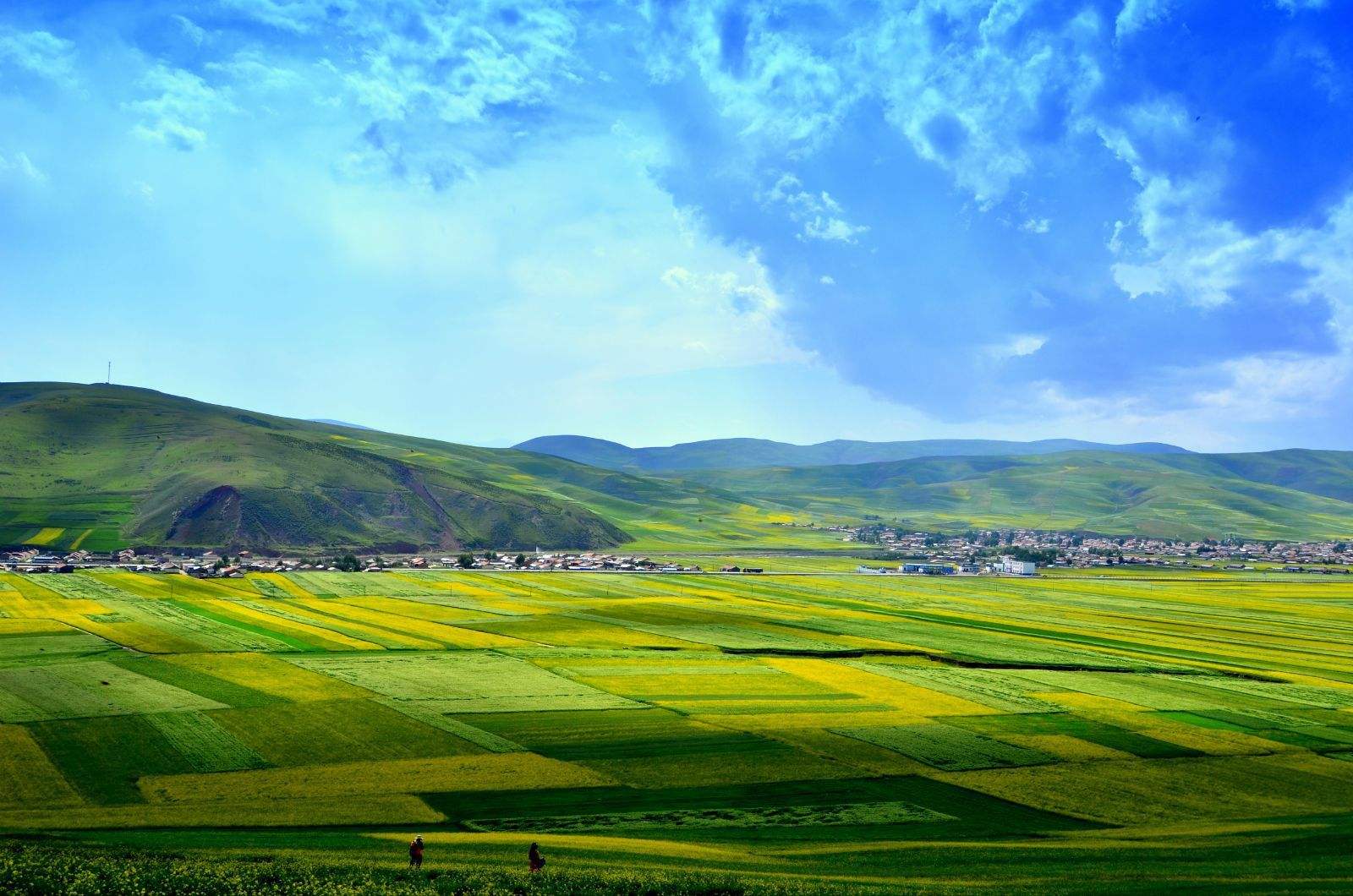  p>海北藏族自治州,是 a target="_blank" href="/item/青海省