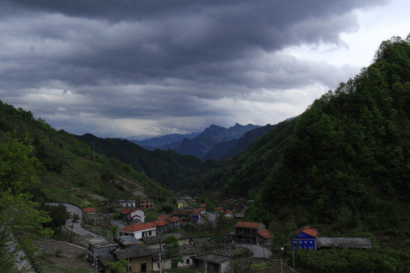 data-lemmaid="5010293">平利县 /a>千家坪国营林场,位于陕西省东南部