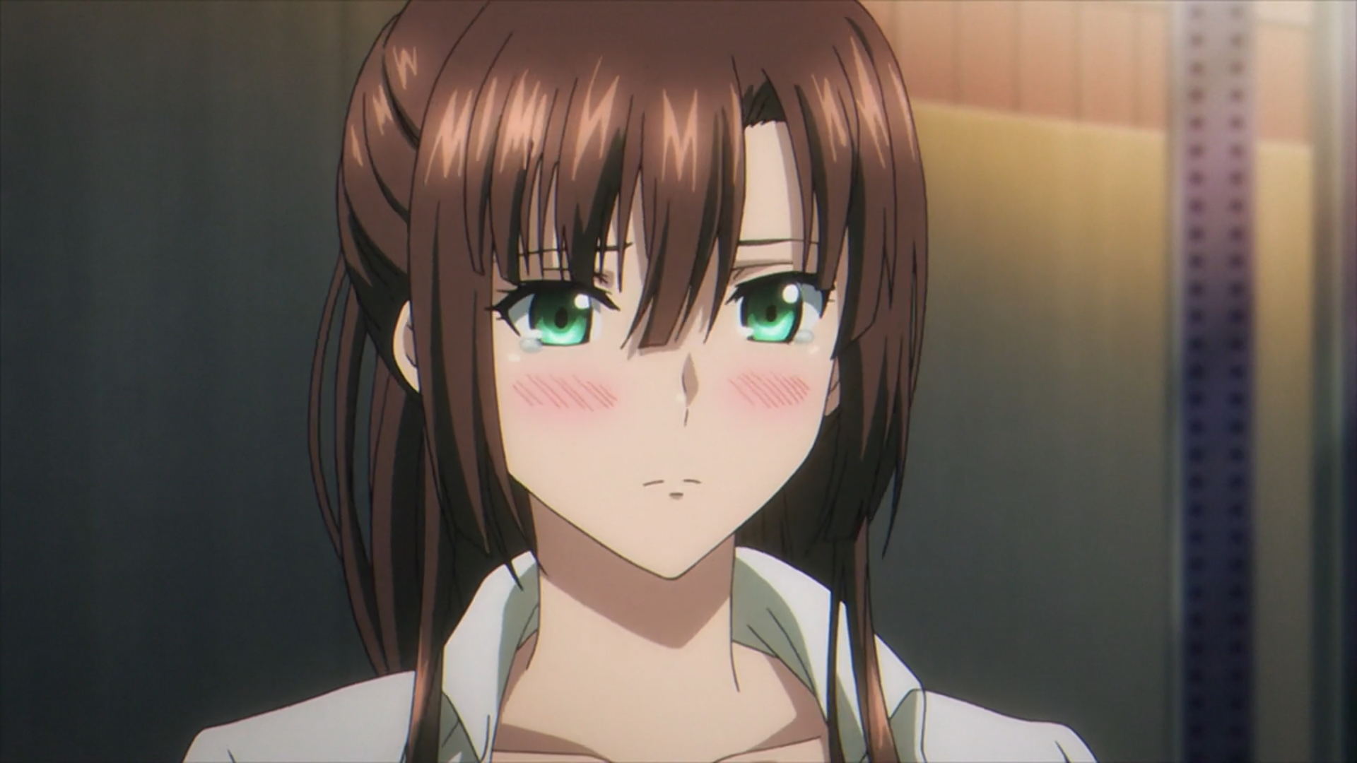 轻小说《 a target="_blank" href="/item/噬血狂袭/75213" data