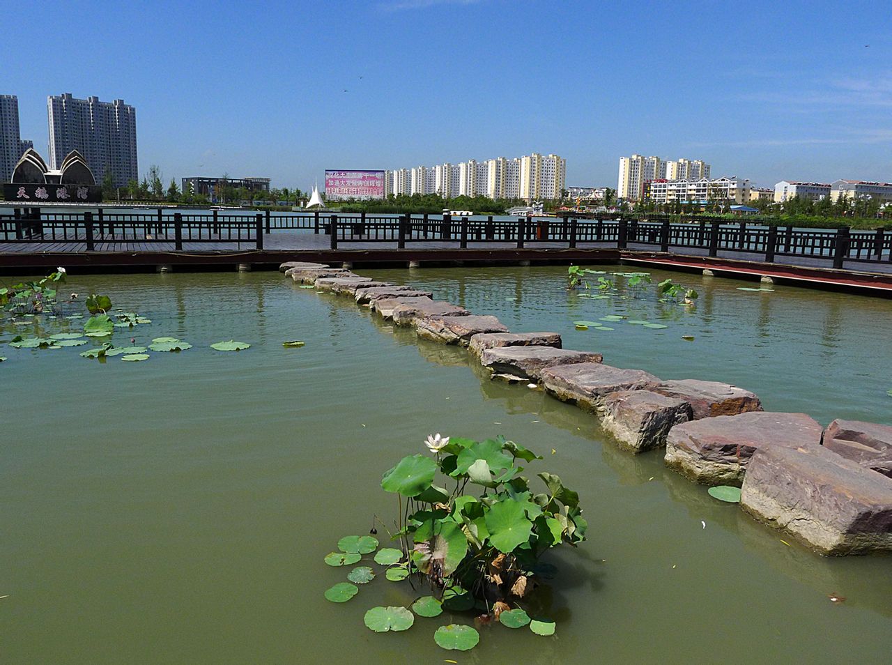  p>白天鹅公园在 a target="_blank" href="/item/阜宁/871643" data