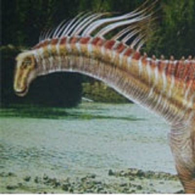 阿马加龙(amargasaurus)