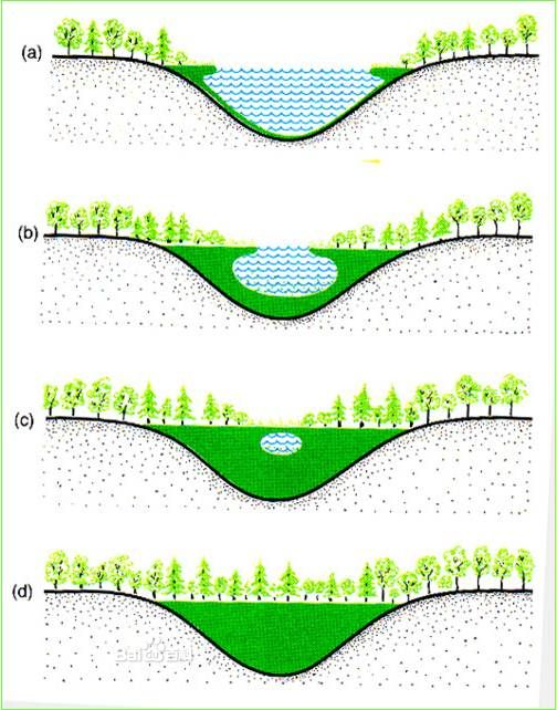  p>次生演替是指原来的植物 a>群落 /a>由于火灾,洪水,崖崩,风灾,人类