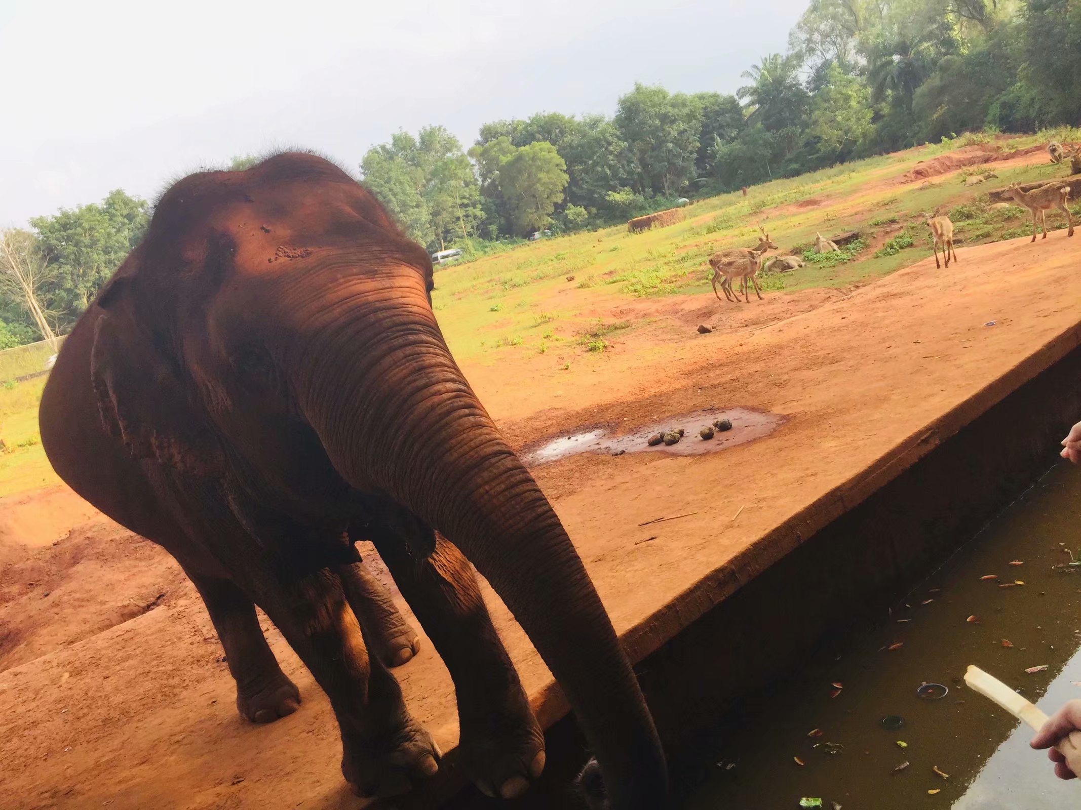 海南东山湖热带野生动植物园
