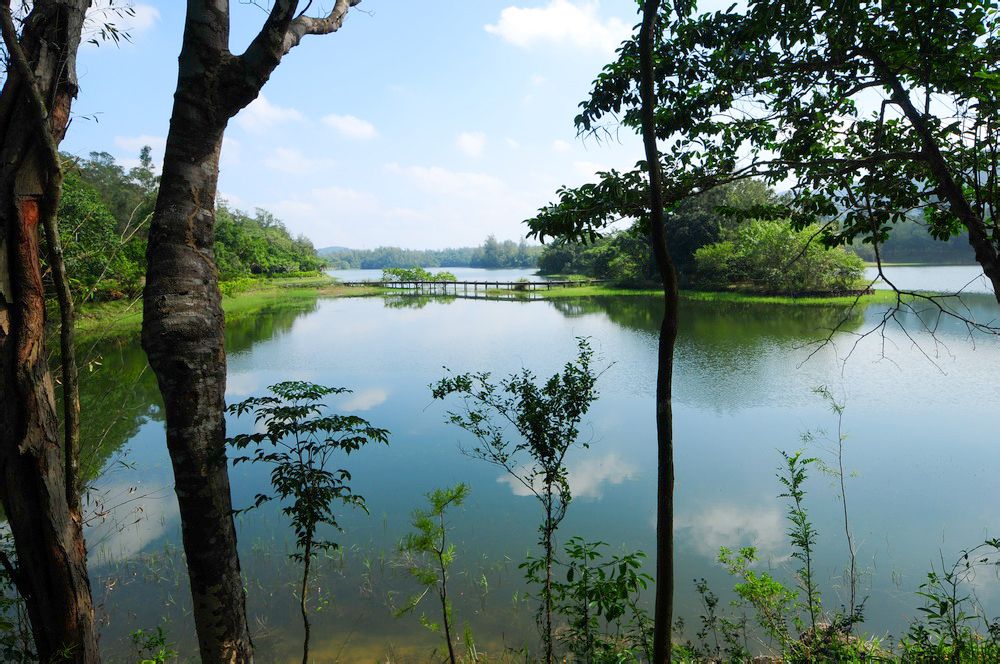  p>安富·雨林海是位于海南岛东南部兴隆境内的洋房,别墅类住宅,由 a