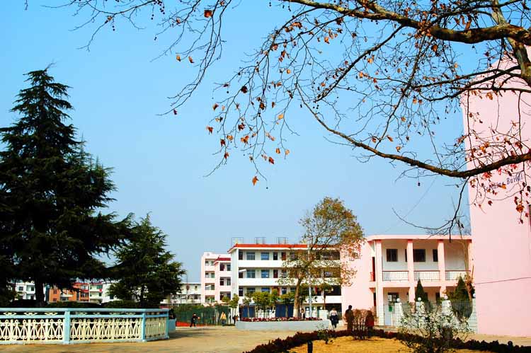  p data-id="gnywp37n0s">江西省鄱阳县第一中学(简称鄱阳一中),位于