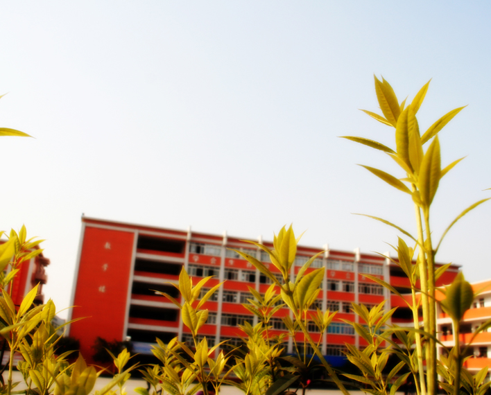 四川新华电脑学院