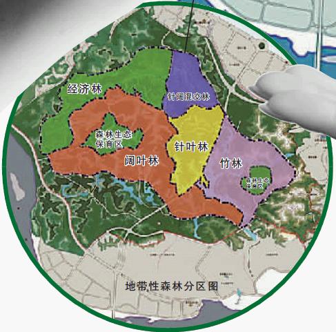 嘉州绿心公园