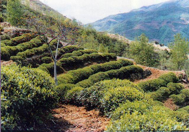 云南省文山国家级自然保护区