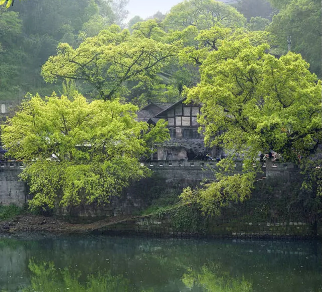 五通桥古镇