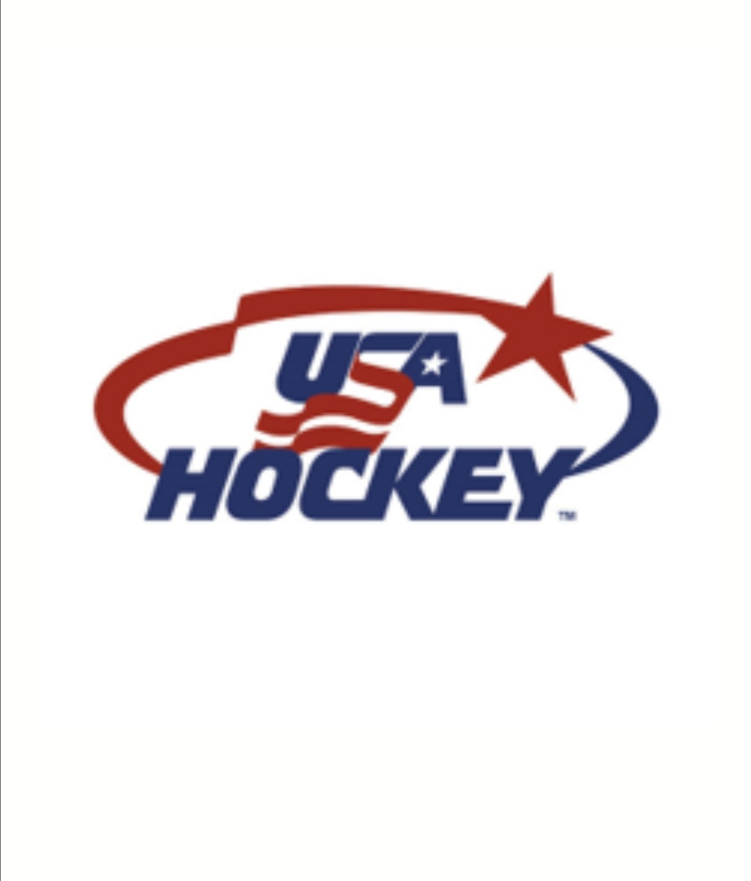  p>美国国家男子冰球队(英语:united states men's national