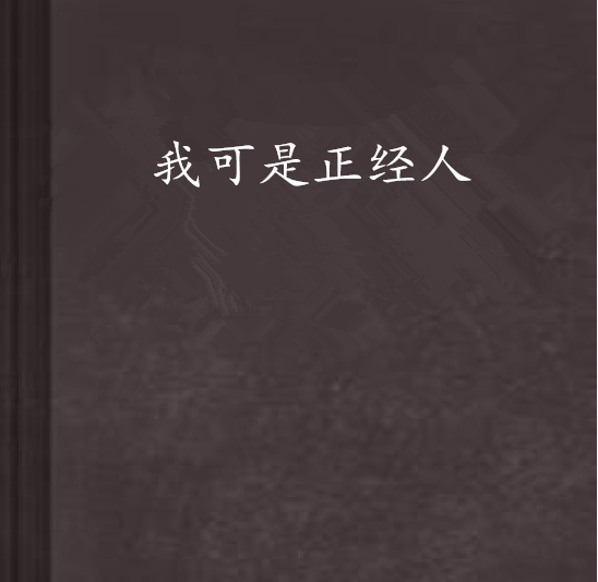 我可是正经人