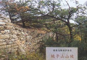东夏（南宋后叶女真贵族在中国东北建立的割据政权）_百度百科