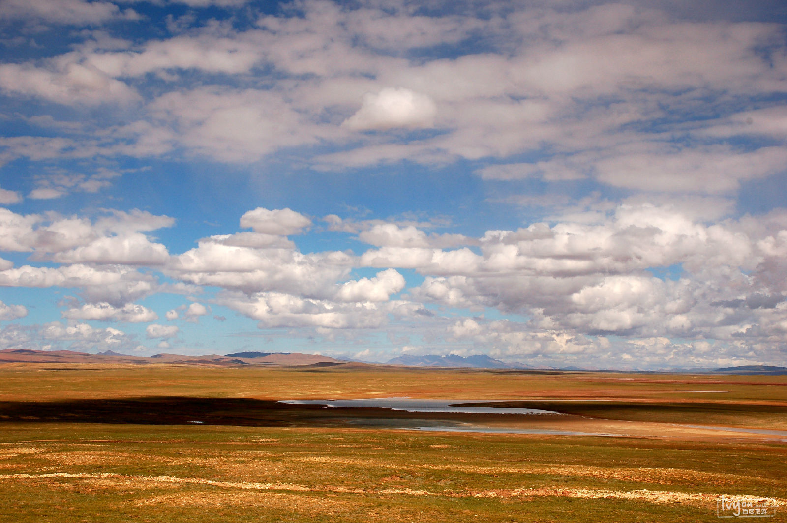  p>青海可可西里国家级自然保护区位于青海省 a target="_blank" href