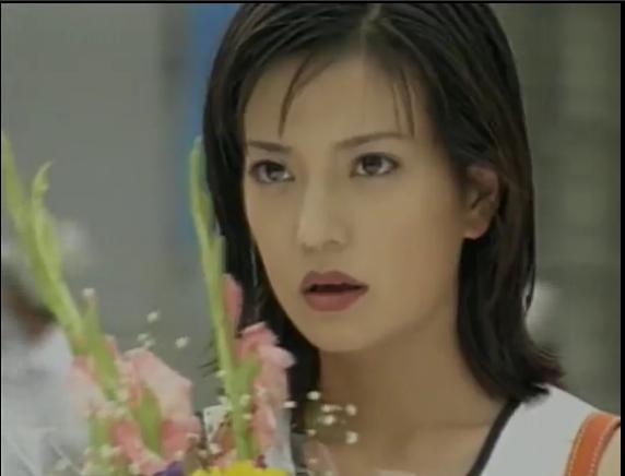 老房有喜二十五碟(vcd)