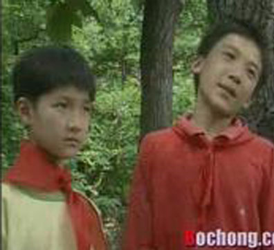 是1996年由赵文炘,庞好执导的电视剧,主要讲述了"金猴小队"的少先队员
