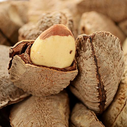  p>巴西栗又名 a href="#" data-lemmaid="8472048">巴西坚果 /a>,是